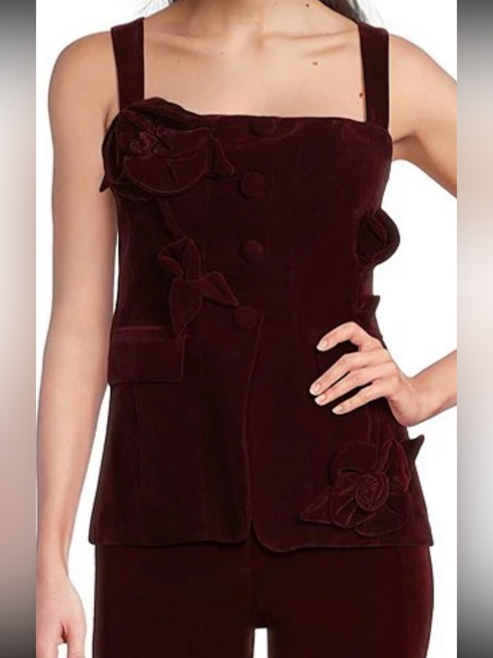 NWT Muse by Marchesa Burgundy Velvet Floral Appliqué Tank Top SZ 10